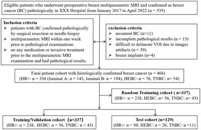 Evaluation of molecular receptors status in breast cancer using an mpMRI-based feature fusion radiomics model: mimicking radiologists’ diagnosis